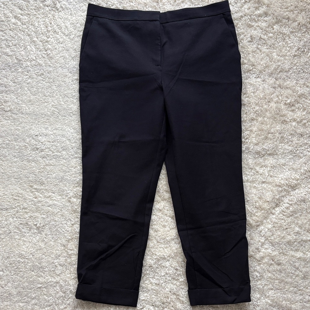 Ann Taylor EVA Dark Navy Dress Ankle  Pants